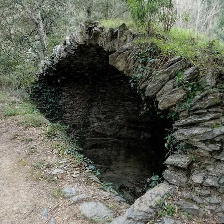 Kır Evi Rural House Mas Cals De Fitor Fonteta